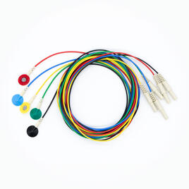 Set mit 5 gesinterten Elektroden